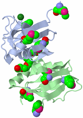 Image Biological Unit 1