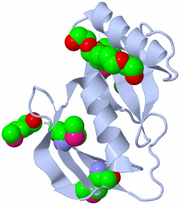 Image Biological Unit 3