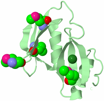 Image Biological Unit 4