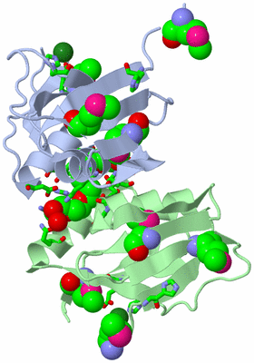 Image Asym. Unit - sites