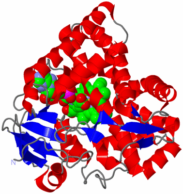 Image Asym./Biol. Unit