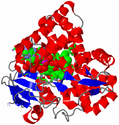 Image Asym./Biol. Unit - sites