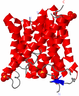 Image Asymmetric Unit