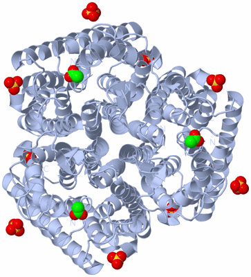 Image Biological Unit 1
