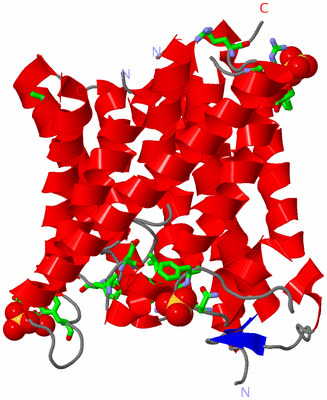 Image Asym. Unit - sites
