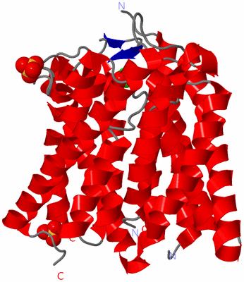 Image Asymmetric Unit