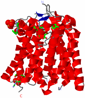 Image Asym. Unit - sites