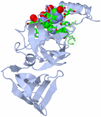 Image Biol. Unit 1 - sites