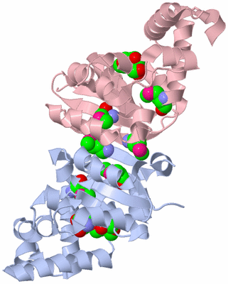 Image Biological Unit 1