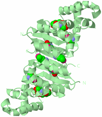 Image Biological Unit 2