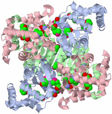 Image Biological Unit 3