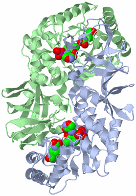 Image Asym./Biol. Unit