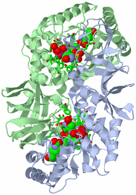 Image Asym./Biol. Unit - sites