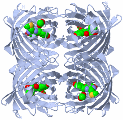 Image Biological Unit 1