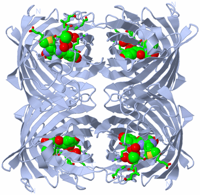 Image Biol. Unit 1 - sites