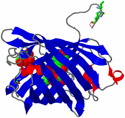 Image Asym. Unit - sites