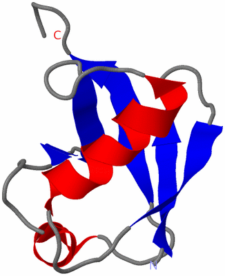 Image NMR Structure - model 1