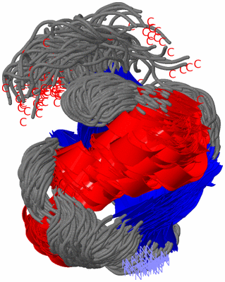 Image NMR Structure - all models