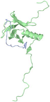 Image NMR Structure - model 1