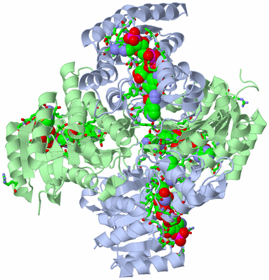 Image Biol. Unit 1 - sites