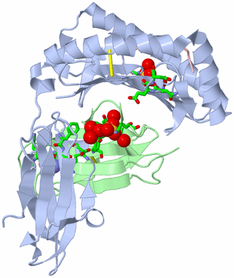 Image Asym./Biol. Unit - sites