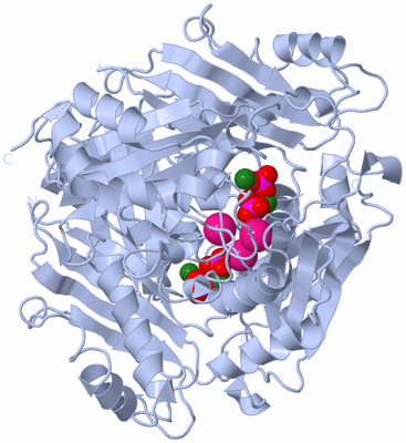 Image Biological Unit 1