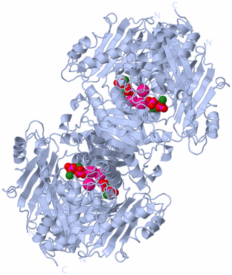 Image Biological Unit 2