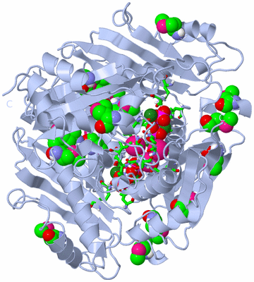 Image Biol. Unit 1 - sites