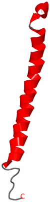 Image NMR Structure - model 1