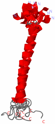 Image NMR Structure - all models