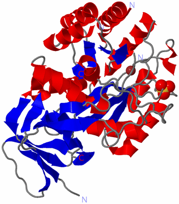 Image Asym./Biol. Unit