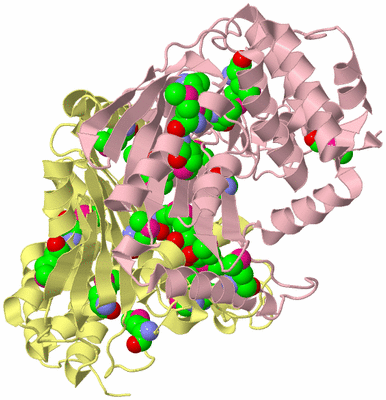 Image Biological Unit 2