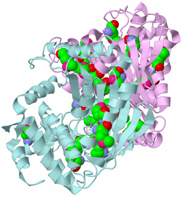 Image Biological Unit 3