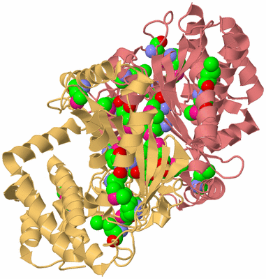 Image Biological Unit 4