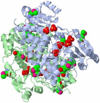 Image Biological Unit 2