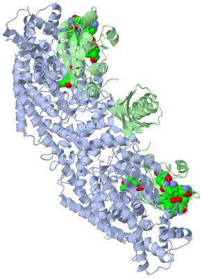 Image Biological Unit 1