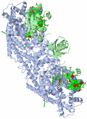 Image Biol. Unit 1 - sites