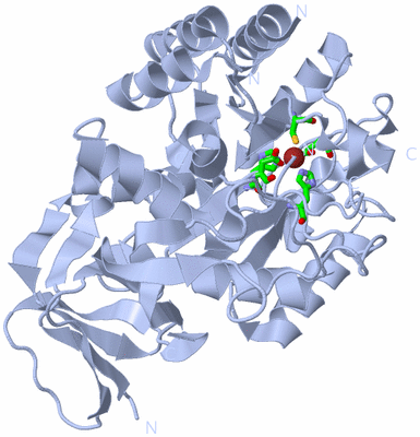 Image Biol. Unit 1 - sites