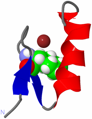 Image NMR Structure - model 1