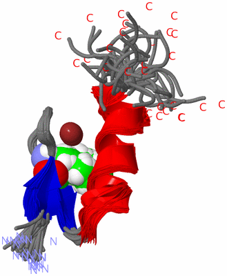 Image NMR Structure - all models