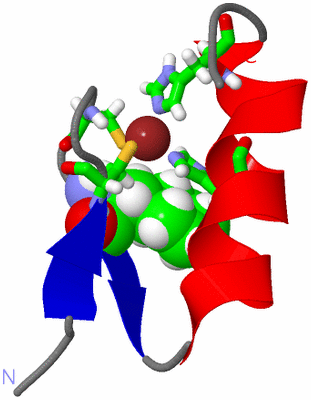 Image NMR Structure - model 1, sites