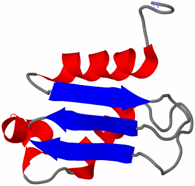 Image NMR Structure - model 1