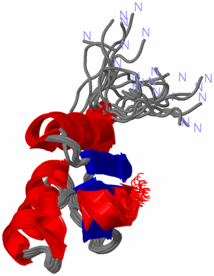 Image NMR Structure - all models