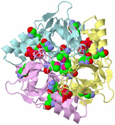 Image Biological Unit 2