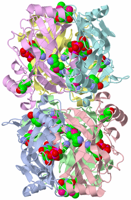 Image Biological Unit 3