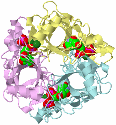 Image Biological Unit 2