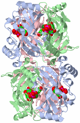 Image Biological Unit 3