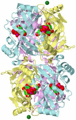 Image Biological Unit 4