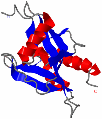 Image NMR Structure - model 1