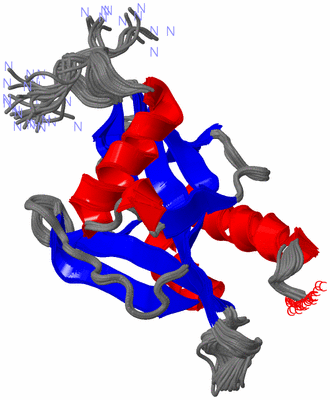 Image NMR Structure - all models